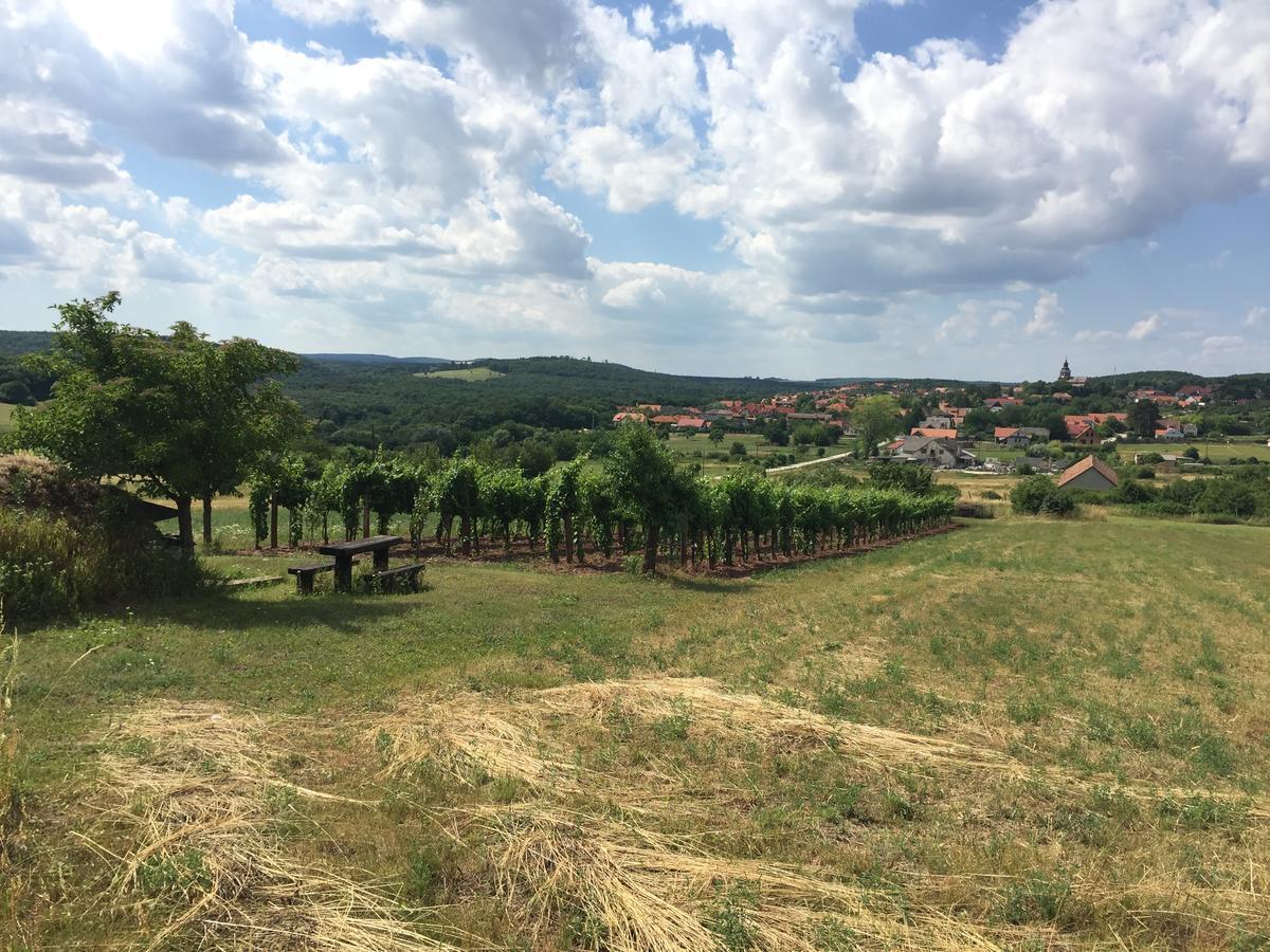 A Tornyos Haz Hotel Csárdamajor Zewnętrze zdjęcie