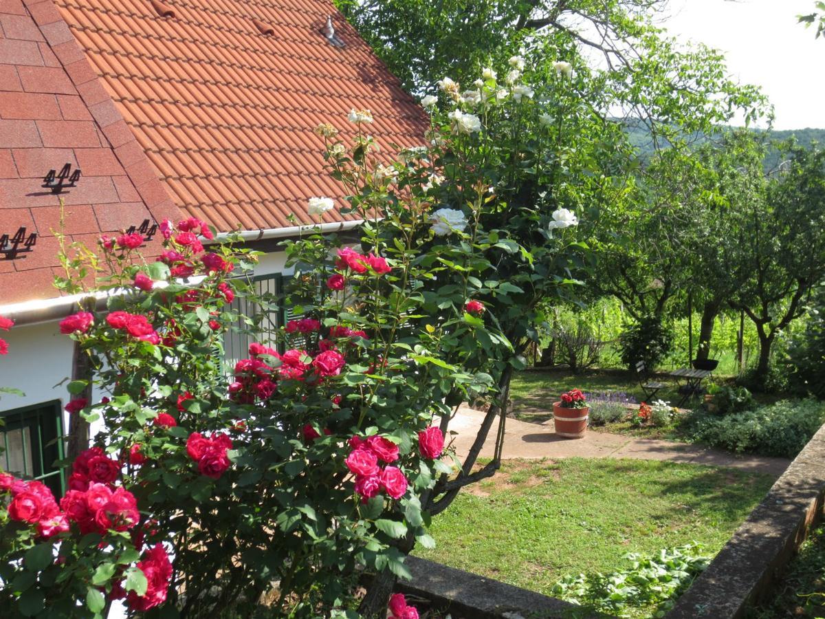 A Tornyos Haz Hotel Csárdamajor Zewnętrze zdjęcie